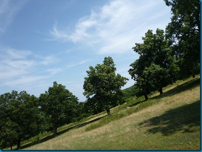 2012-07-02 068