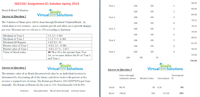 MGT201 Assignment No 1 Solution Spring 2019 Sample Preview