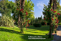 Bocal Visita por el Moncayo Ribera del Ebro Canal Imperial de Aragon