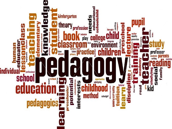  What is Pedagogy?