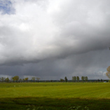 Album weergeven