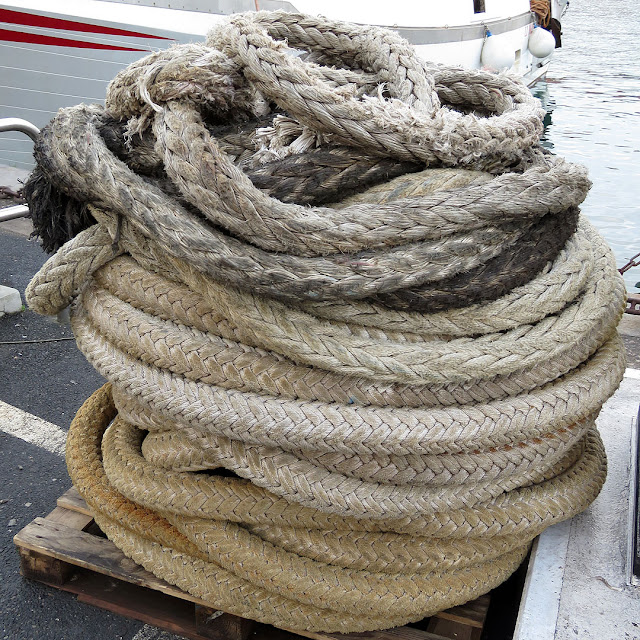 Coiled hawser on a pallet, port of Livorno