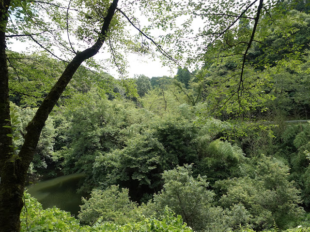 鳥取県西伯郡南部町下中谷　緑水湖遊歩道からの眺め