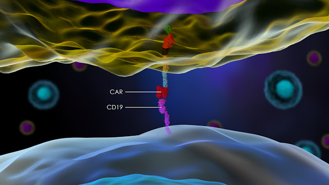 T-Cell Lymphoma Market