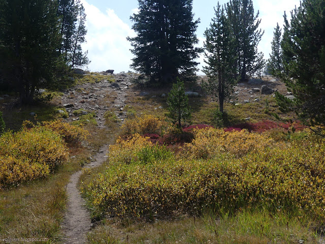 081: good trail past yellow and red leaves