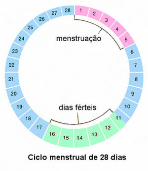 ciclo menstrual sangrado