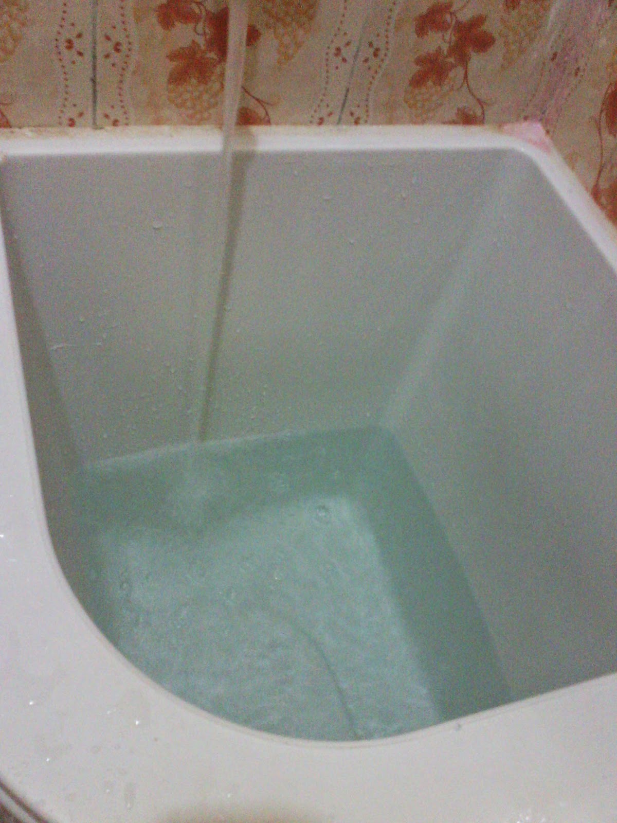 Sidik Blog Tips trik membersihkan bak  mandi  menggunakan 