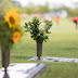 Parque del Prado Pet Cemetery: Un cementerio que honra la vida de esos amigos incondicionales