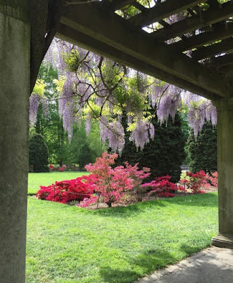 garden style - tukang taman