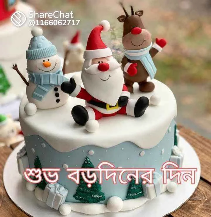 বড় দিনের শুভেচ্ছা,স্টাটাস,পিকচার | Merry Christmas 2023 Status,Picture