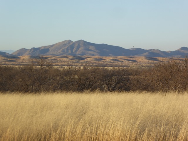 P1210816