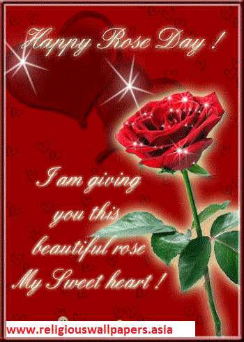 Religious Wallpapers: Happy Rose day To You Image And Sms