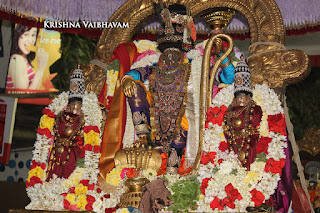 Kathir ARuthal,Thaipoosam, purappadu Sri PArthasarathy Perumal, Perumal, Venkata Krishna , Varushotsavam, 2017, Video, Divya Prabhandam,Triplicane,Thiruvallikeni,Utsavam,