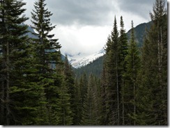 Jackson glacier