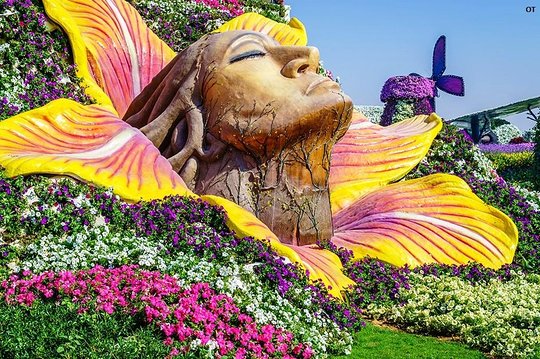 Dubai Miracle Garden Attraction- Lake, Heart, Mickey, Emirate and more