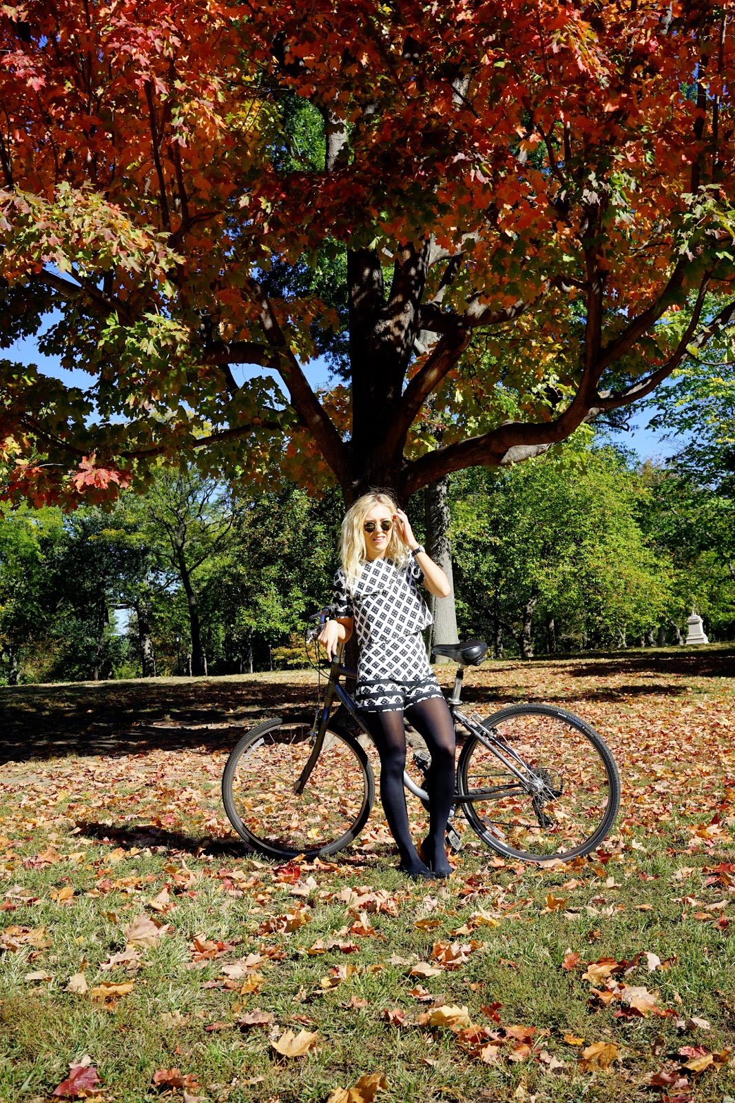 central park in fall