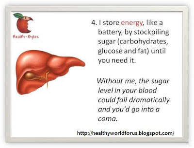 Click here to see all Important facts about Your Liver..