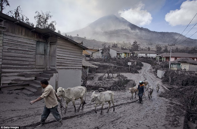 Volcanic Eruption of Mount Sinabung makes villagers to abandon their Village Sigarang Garang in Sumatra , Indonesia 