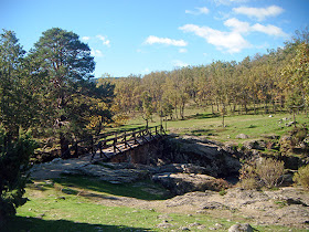 Ruta de Colmenar Viejo al puerto de Cotos. Octubre 2012