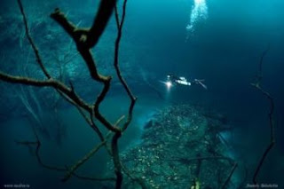 Sungai di Dasar Laut Cenote Angelita, Mexico