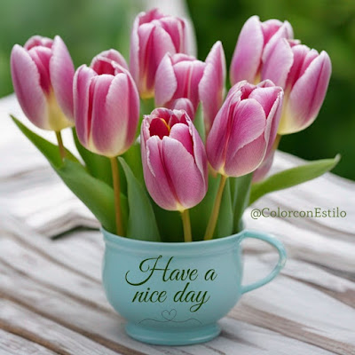 Have-a-nice-day-tulips