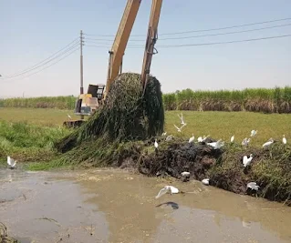 محافظ أسيوط: مواصلة تطهير ورفع مخلفات الترع لضمان وصول المياه لنهايتها