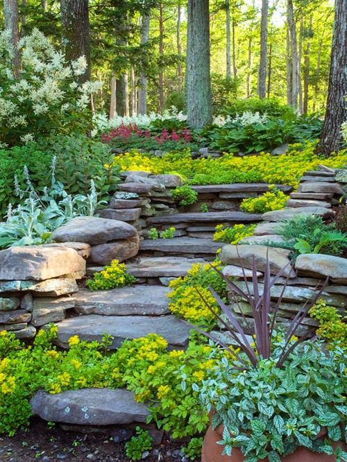 Landscaping Stone Steps