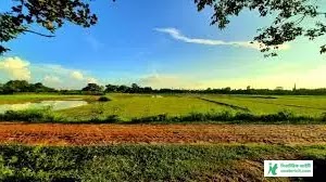 Village Bengal Natural Scenery Pictures - Natural Scenery Pictures Download - Beautiful Natural Scenery Pictures - Natural Picture - NeotericIT.com - Image no 16