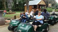 Team Building Pretoria Zoo