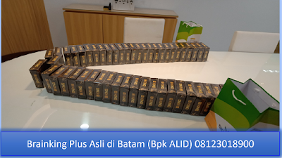  PROMOSI, 08123 01 8900 (Bpk. Alid),B KIng Plus Di Batam