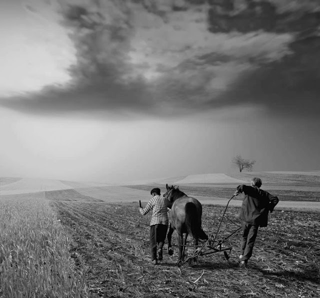 Romanian Professional Photographer- "Ionut Caras" 1978