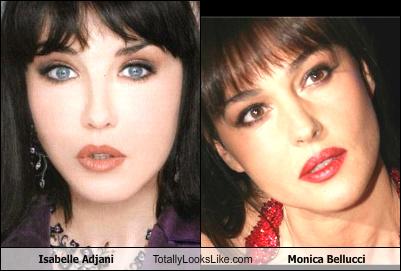 Celebrity List on Monica Bellucci  Isabelle Adjani  Sophie Marceau