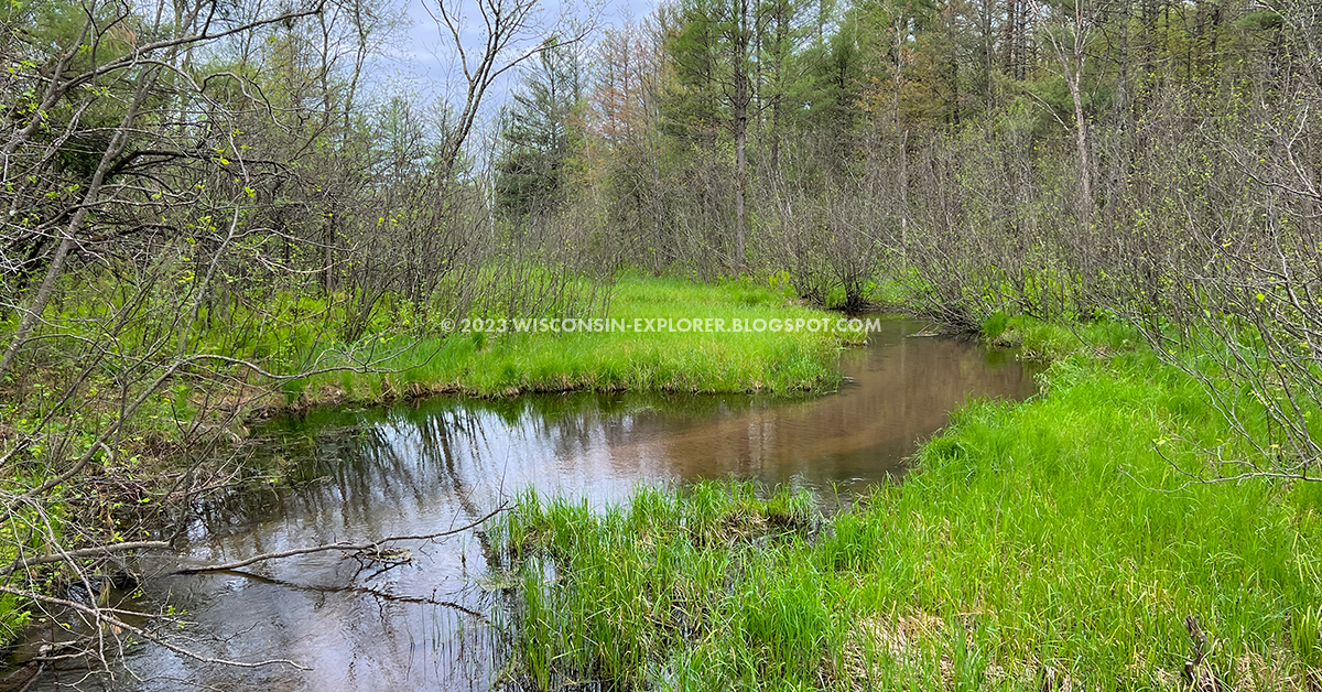 creek through underbrush