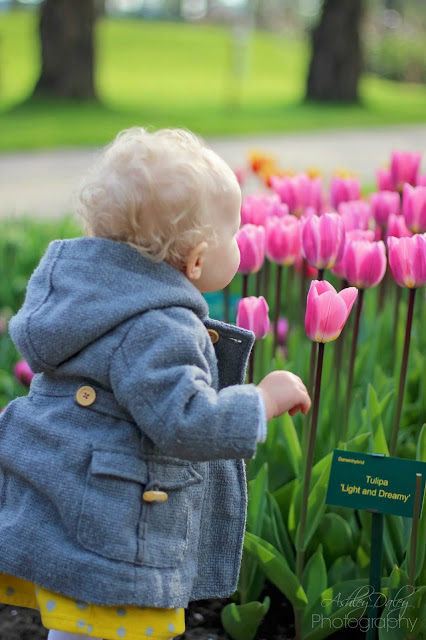 The Netherlands with Kids