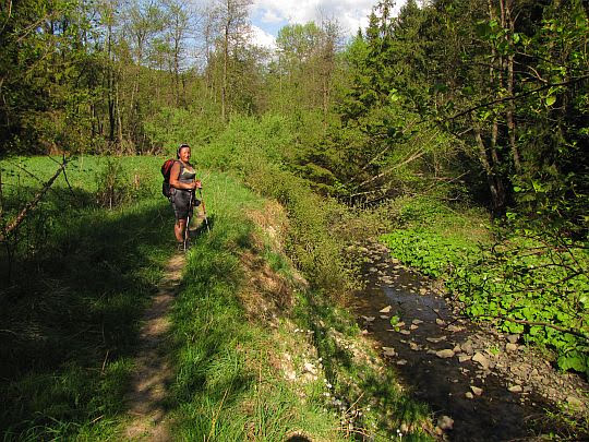 Urwista skarpa nad Jasionką.