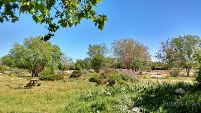 La Huerta Grande - San Fernando de Henares