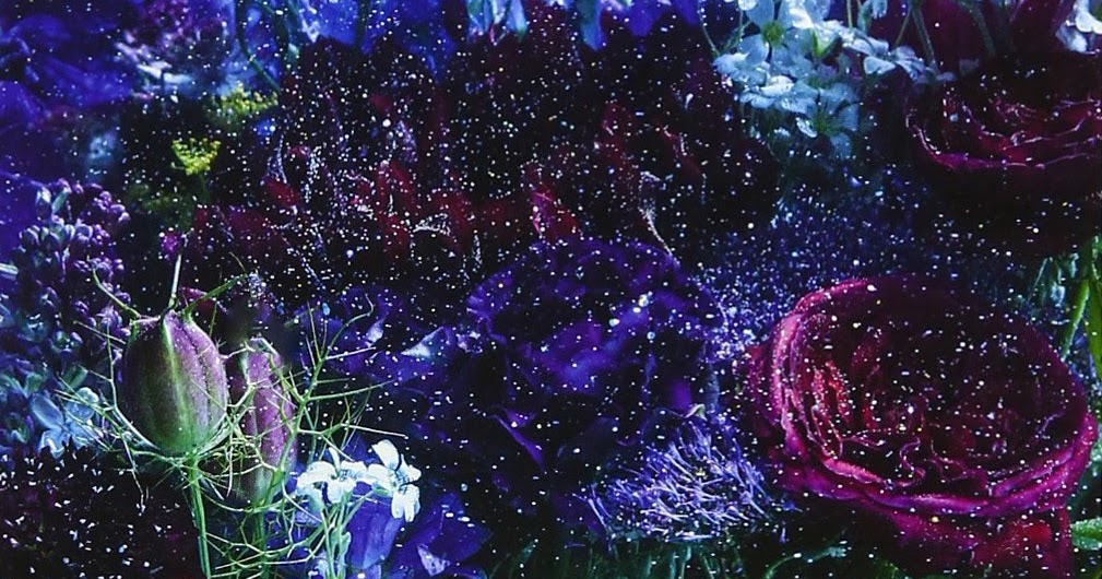 Aimer あなたに出会わなければ 夏雪冬花 の歌詞の意味や世界観 伝えたいメッセージを徹底解説 Happy Enjoy 心ときめくsports Music Life