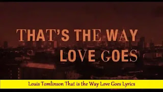 Louis Tomlinson That is the Way Love Goes Lyrics