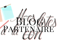 blog partenaire Mes Listes à la Con