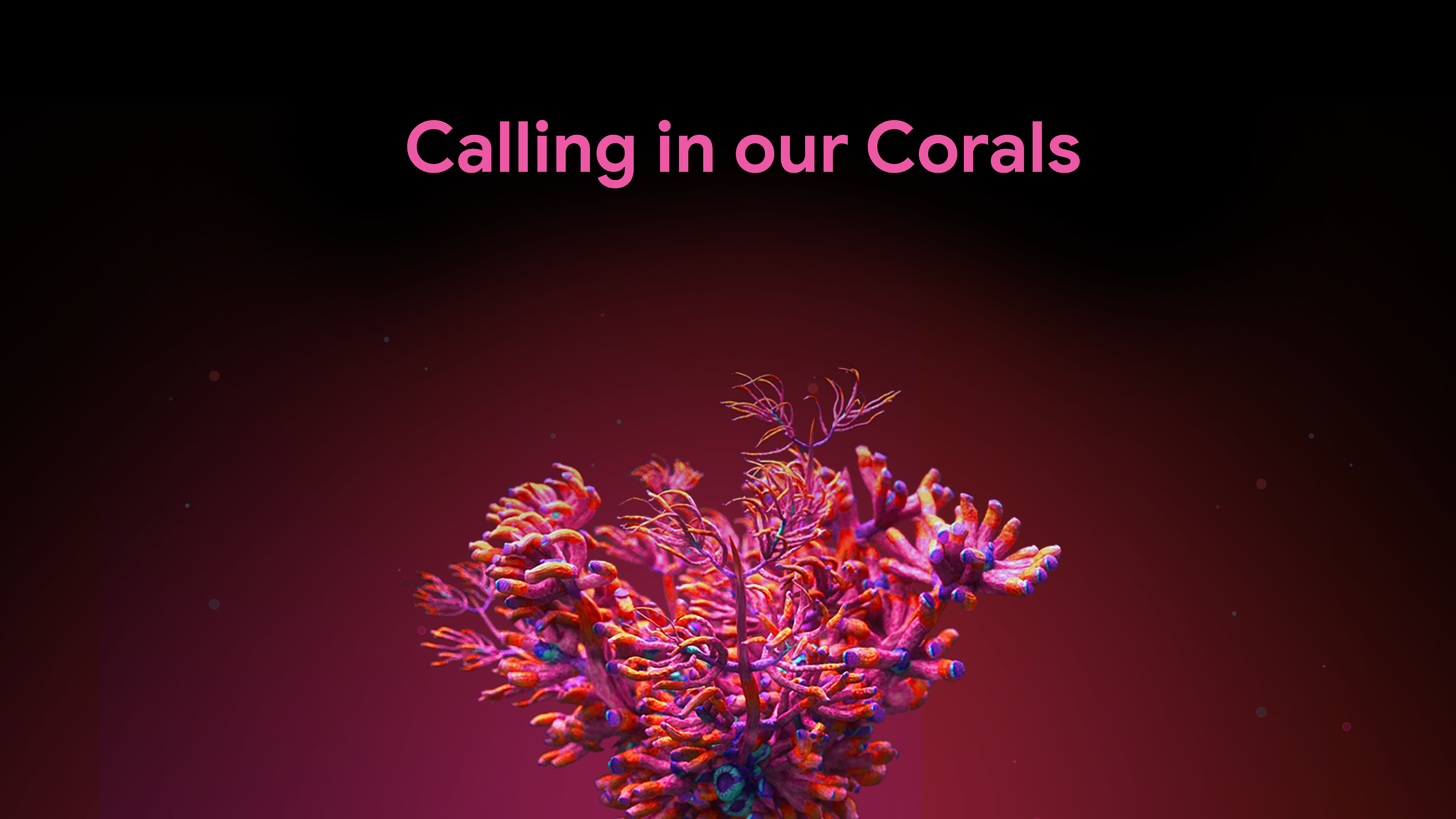 Afbeelding 'Calling in our Corals'.