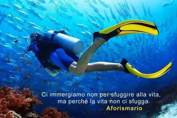 Sub che osserva il fondale marino