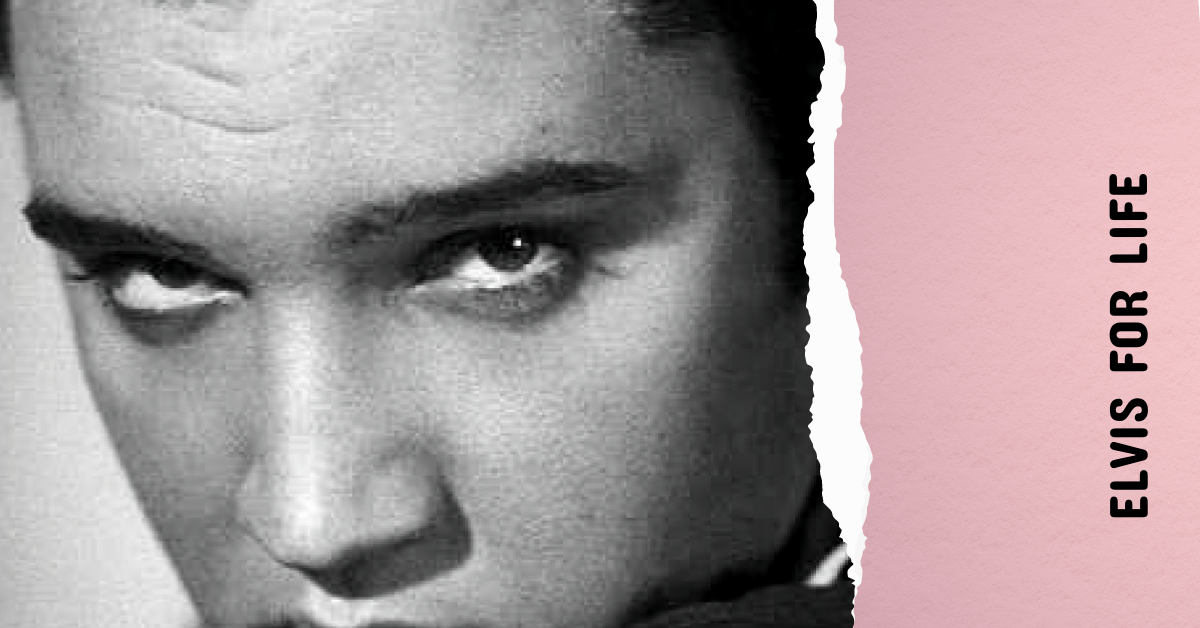 Immagine-artwork-elvis