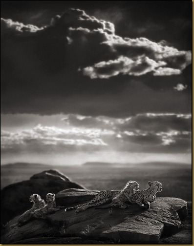 Nick Brandt 1