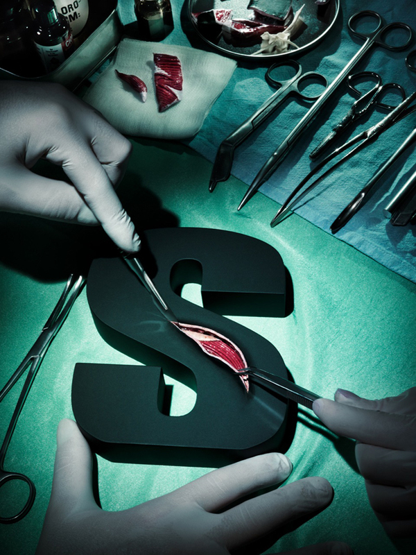 Evolution of Type: Dissection Letters Bones Veins Muscles Tendons