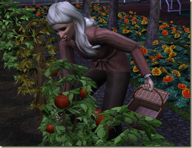 snapshot_fb5bc4e0_1b78a020