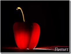 picturecontent-pid-1d275