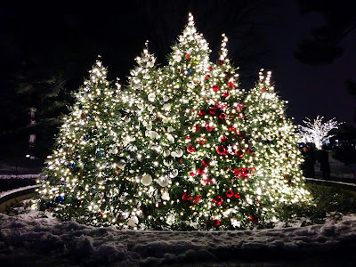 New York Botanical Garden Christmas Trees