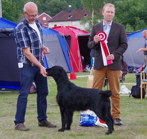 IMGP5539 (640x606)