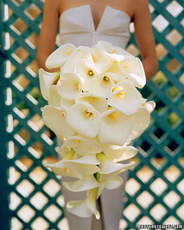  they make a lovely bridal bouquet White calla lilies come in different 