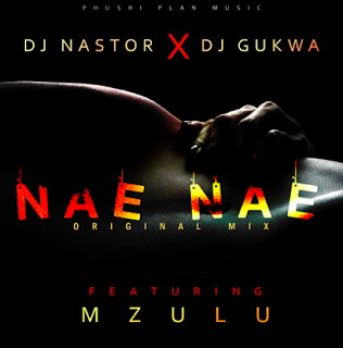 (Afro Music) Dj Nastor & Dj Gukwa feat. Mzulu - Nae nae (Original) (2016) 